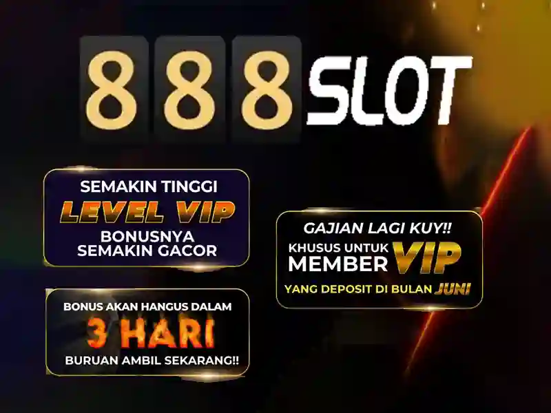 Biểu đồ minh họa các đặc quyền chính của thành viên VIP