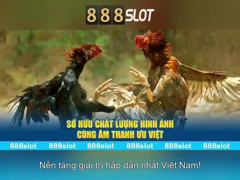 Bảo mật dữ liệu người chơi tại 888slot