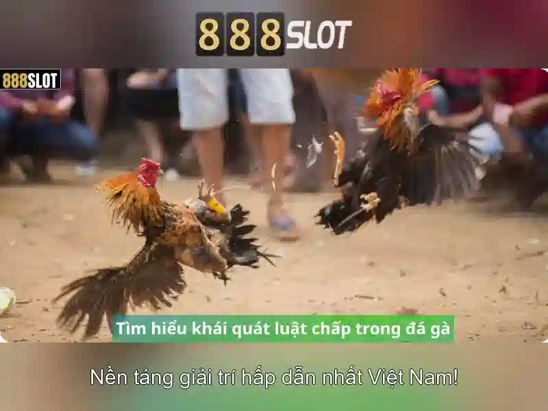 <!--IMG_PLACEHOLDER alt>Hướng dẫn nhận diện tên miền chính thức và gia cố tài khoản-->